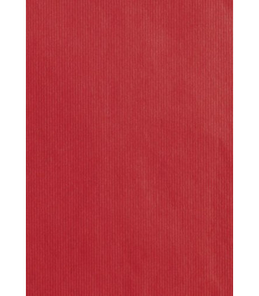 BOLSA PAPEL TV KRAFT 31x47 ROJO P/25