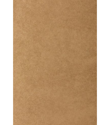 BOLSA PAPEL TV KRAFT 18x23 KRAFT P/25