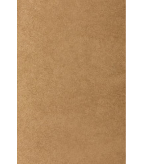 BOLSA PAPEL TV KRAFT 22x32 KRAFT P/25
