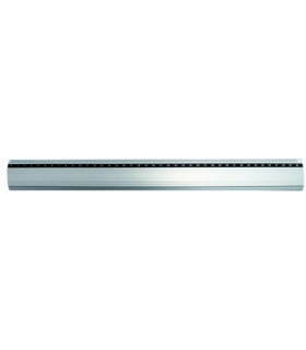 REGLA METALICA 30 cm
