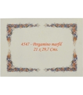 PAPEL TEMA.A4 CG 160g 25h PERG.4547 B/10