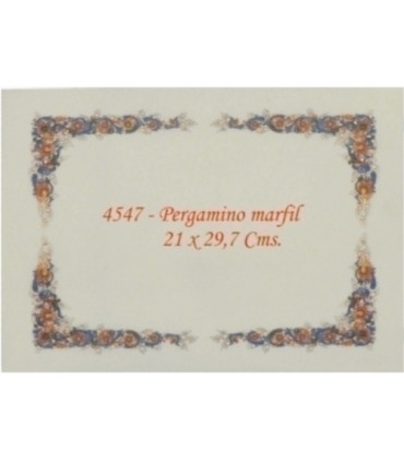 PAPEL TEMA.A4 CG 160g 25h PERG.4547 B/10