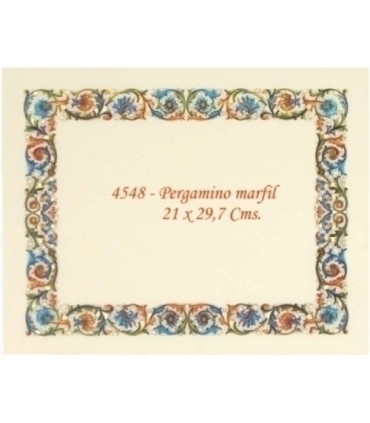 PAPEL TEMA.A4 CG 160g 25h PERG.4548 B/10