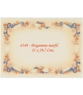 PAPEL TEMA.A4 CG 160g 25h PERG.4549 B/10