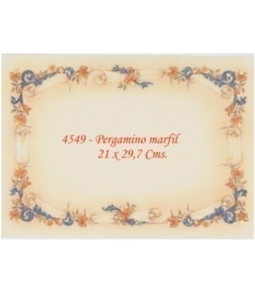 PAPEL TEMA.A4 CG 160g 25h PERG.4549 B/10