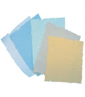 PAPEL TROQU.A4 CG DIPLOMAS VERDE B/25