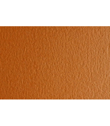 CARTULINA 50x70 FABRI. 220g LR AVANA P/2