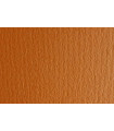 CARTULINA 50x70 FABRI. 220g LR AVANA P/2