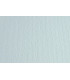 CARTULINA 50x70 FABRI. 220g LR BIANC P/2
