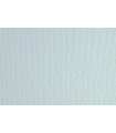 CARTULINA 50x70 FABRI. 220g LR BIANC P/2