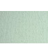 CARTULINA 50x70 FABRI. 220g LR BRINA P/2