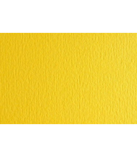 CARTULINA 50x70 FABRI. 220g LR CEDRO P/2