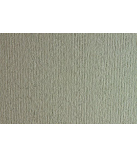 CARTULINA 50x70 FABRI. 220g LR CHINA P/2