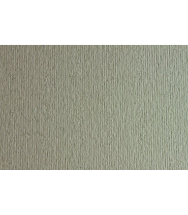 CARTULINA 50x70 FABRI. 220g LR CHINA P/2