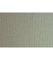 CARTULINA 50x70 FABRI. 220g LR CHINA P/2
