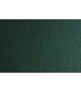 CARTULINA 50x70 FABRI. 220g LR FERRO P/2