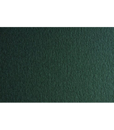 CARTULINA 50x70 FABRI. 220g LR FERRO P/2
