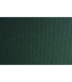 CARTULINA 50x70 FABRI. 220g LR FERRO P/2