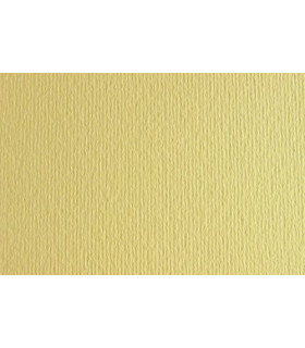 CARTULINA 50x70 FABRI. 220g LR ONICE P/2