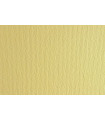CARTULINA 50x70 FABRI. 220g LR ONICE P/2