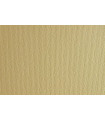 CARTULINA 50x70 FABRI. 220g LR PANNA P/2