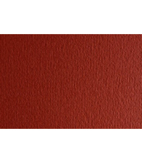 CARTULINA 50x70 FABRI. 220g LR TERRA BRU