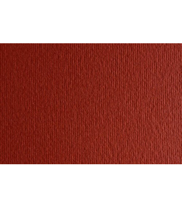 CARTULINA 50x70 FABRI. 220g LR TERRA BRU
