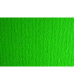CARTULINA 50x70 FABRI. 220g LR VERDE P/2