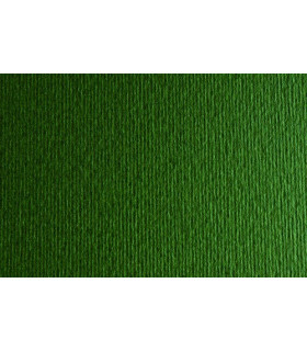 CARTULINA 50x70 FABRI. 220g LR VERD. P/2