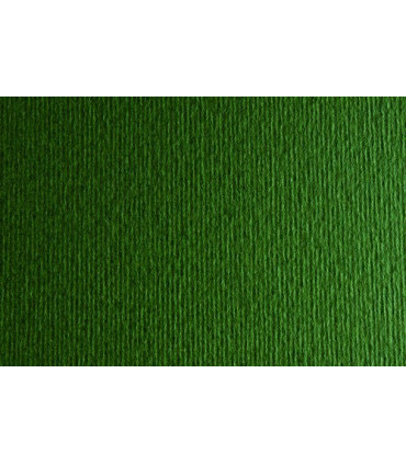 CARTULINA 50x70 FABRI. 220g LR VERD. P/2
