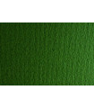 CARTULINA 50x70 FABRI. 220g LR VERD. P/2
