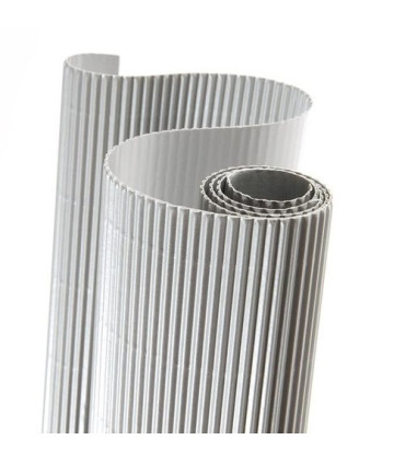 CARTON ONDUL.CANSON R.0,5x0,7 PLATA P/10