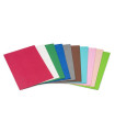 GOMA EVA FAIBO HOJA 20x30 B/10