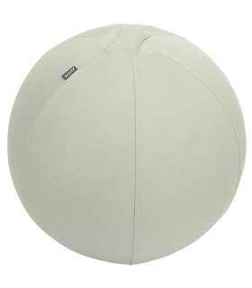 SILLA BALON LEITZ ERGO 55cm ANT. GRIS