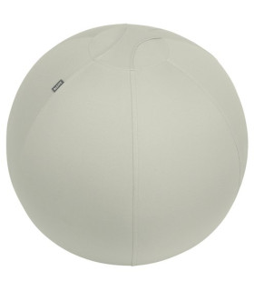 SILLA BALON LEITZ ERGO 65cm ANT. GRIS
