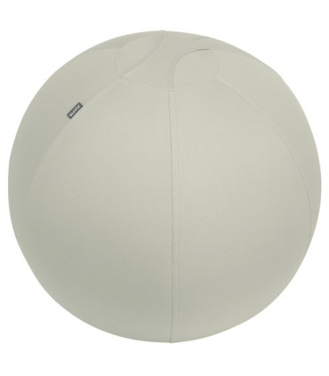SILLA BALON LEITZ ERGO 65cm ANT. GRIS