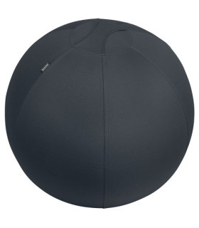 SILLA BALON LEITZ ERGO 65cm ANT.GRIS OSC