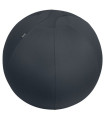 SILLA BALON LEITZ ERGO 65cm ANT.GRIS OSC