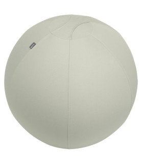 SILLA BALON LEITZ ERGO 75cm ANT. GRIS