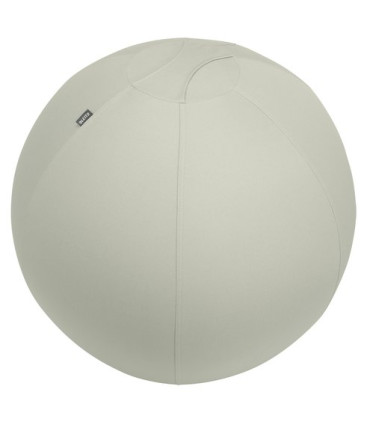 SILLA BALON LEITZ ERGO 75cm ANT. GRIS