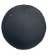SILLA BALON LEITZ ERGO 75cm ANT.GRIS OSC