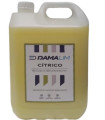 FRIEGASUELOS DAMALIM CITRICO 5 LITROS
