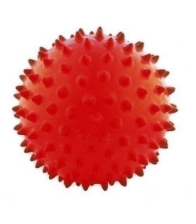 PELOTA MASAJE 65 cm