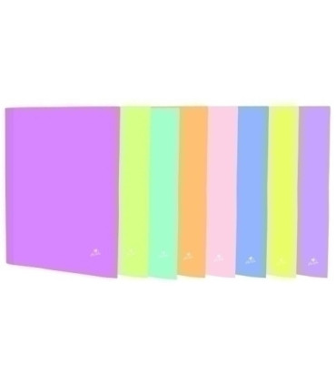 CARPETA MARIOL.PASTEL Fº 4 AN.40 EXP.12