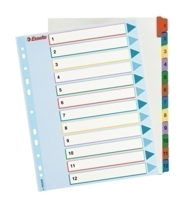 INDICE ESSELTE CART.BORR.NUM.A4+ ps.1-12