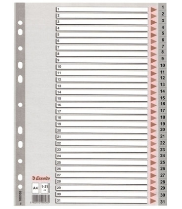 INDICE ESSELTE PP NUM.A4 ps.1-31 IND.COL