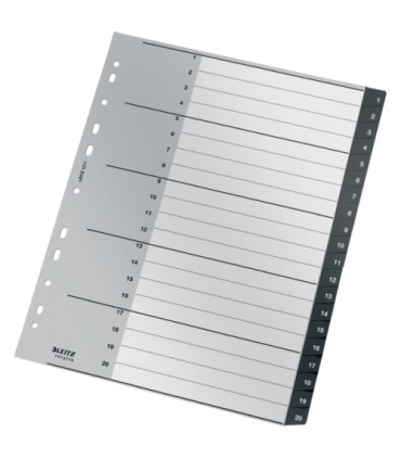 INDICE LEITZ PP RECYCLE NUM.A4+ ps.1-20