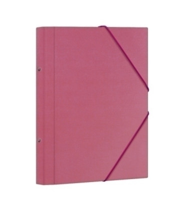 CARP.CLASIF.DOHE Fº 12 DP.ROSA