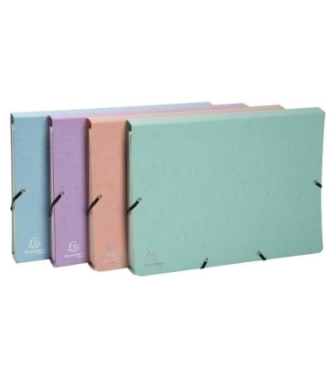 CARP.CLASIF.EXACOMPTA CART.A4+ 12 DP.SUR