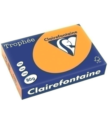 PAPEL COLOR A4 TROPHEE 80g 500h CLEMENTI